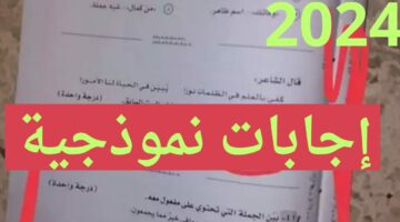 حلول العربي.. نموذج اجابة امتحان اللغة العربية الصف الثالث الثانوي 2024 وزارة التربية والتعليم بالدرجات