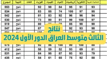 بالخطوات التفصيلية.. الاستعلام عن نتائج الثالث المتوسط 2024 الدور الأول في العراق عبر موقع نتائجنا