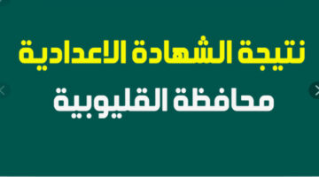 برقم الجلوس.. رابط نتيجة الشهادة الإعدادية محافظة القليوبية 2024