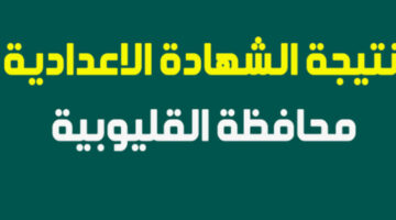 الان.. رابط استخراج نتيجة الشهادة الاعدادية في محافظة القليوبية عبر الرابط الرسمي