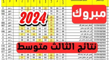 بمجرد ظهورها.. الاستعلام عن نتائج الثالث المتوسط 2024 الدور الأول في العراق عبر موقع نتائجنا results.mlazemna