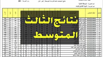 “اعُتمدت رسميا ✔️”.. رابط الاستعلام عن نتائج الثالث متوسط الدور الأول 2024 عبر موقع الوزارة – موقع نتائجنا في عموم العراق