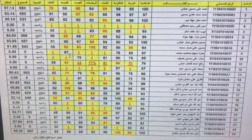 رابط شغال وسريع.. لينك نتائج السادس الابتدائي 2024 العراق