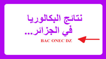 رابط فعال.. كيفية الاستعلام عن نتائج البكالوريا 2024 في الجزائر بضغطة زر من هاتفك