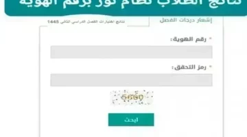 “من هنا”.. رابط نتائج نظام نور وكيفية الاستعلام عن نتائج الطلاب من خلاله