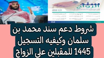 شروط سند محمد بن سلمان 1445 للمطلقات وكيفية الحصول على الدعم snad.org.sa