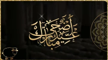 عيد سعيد ” Eid Mubarak كارت تهاني العيد ” تحميل صور وبطاقات تهنئة عيد الاضحي 2024-1445 بالاسم ” عيد سعيد ” اجمل رسائل تهاني العيد الكبير حالات واتس اب وفيس بوك