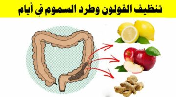 “لو بتعاني من الإمساك والإنتفاخات” إليك طريقة لتنظيف القولون والأمعاء من السموم | أهم النصائح