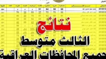 لينك Pdf.. رابط نتائج الثالث متوسط الدور الأول 2024 عبر موقع نتائجنا أو وزارة التربية العراقية