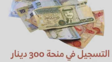 لينك سريع.. التسجيل في منحة 300 دينار تونس 2024 والشروط اللازمة للقبول