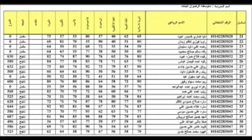 الناجح يرفع إيده.. نتيجة الثالث المتوسط ميسان 2024 والمحافظات العراقية عبر نتائجنا أو وزارة التعليم