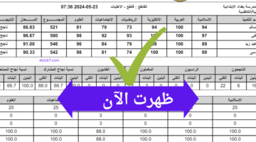 لا داعي للقلق.. طريقة استعلام نتائج الصف التاسع 2024 بالاسم ورقم الجلوس من الموقع الرسمي