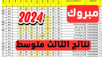 “مبارك للناجحين” كيفية الاستعلام عن نتائج الثالث المتوسط عموم محافظات العراق 2024