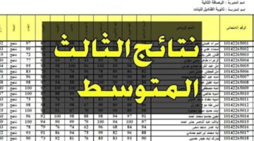 ” تم الرفع بنجاح ” رابط نتائج الثالث المتوسط 2024 دور اول بالعراق من موقع وزارة التربية والتعليم العراقية ونتائجنا وابن الدورة