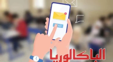 لحظة بلحظة.. رابط نتائج الباك في تونس 2024 من الموقع الرسمي