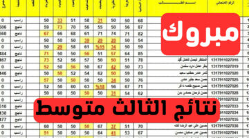 استعلم الآن.. نتيجة الثالث المتوسط 2024 النجف الدور الأول