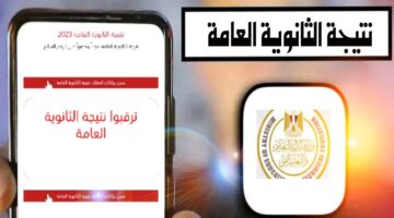 رابط نتيجة الثانوية العامة 2024 بالاسم ورقم الجلوس عبر موقع بوابة الثانوية العامة للنتائج نتيجة 3 ثانوي