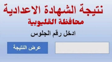 من هنا.. نتيجة الصف الثالث الاعدادي محافظة القليوبية اخر العام 2024 بالأسم ورقم الجلوس