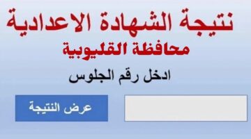 لينك فعال.. نتيجة الشهادة الإعدادية محافظة القليوبية الترم الثاني 2024 بالاسم ورقم الجلوس