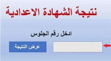 ظهرت اليوم.. نتيجة الشهادة الاعدادية محافظة الدقهلية الترم الثاني 2024 بالأسم ورقم الجلوس