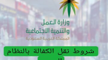 وزارة الموارد البشرية توضح .. شروط نقل الكفالة الجديدة 1446 وإجراءات النقل عبر ابشر hrsd.gov.sa