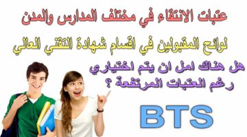 رسميا.. إعلان نتائج انتقاء شهادة التقني العالي 2024 resultats bts وطريقة الاستعلام عن النتائج