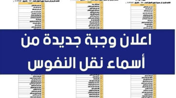 طريقة الاستعلام عن اسماء نقل النفوس العراق الوجبة الأخيرة 2024 بالخطوات عبر اللينك الرسمي✔️