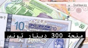 من هنا social.gov.tn طريقة التقديم في منحة 300 دينار تونس 2024