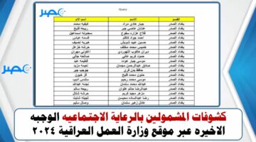 كشوفات المشمولين بالرعاية الاجتماعيه الوجبه الاخيره عبر موقع وزارة العمل العراقية 2024