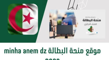 التسجيل من هنا anem.dz .. خطوات تجديد منحة البطالة في الجزائر واهم الشروط 2024