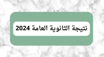 moe.gov.eg.. رابط الاستعلام عن نتيجة الثانوية العامة 2024 “بالاسم ورقم الجلوس” عبر موقع وزارة التربية والتعليم