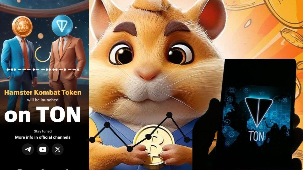 هتكسب مبالغ ضخمة.. طريقة الربح من لعبة بوت هامستر كومبات Hamster Kombat وقيمة سعر العملة مقابل الدولار