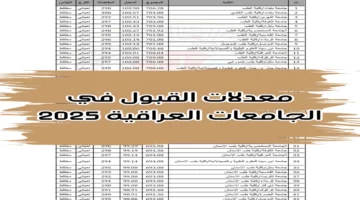 مبارك عليكم الجامعة.. معدلات القبول في الجامعات العراقية 2024 “الحدود الدنيا PDF” وخطوات الاستعلام عنها