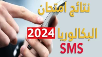 لينكـ مباشر”.. رابط الاستعلام عن نتائج البكالوريا لبنان 2024 الدورة العادية “الترمينتال” عبر موقع mehe.gov.lb