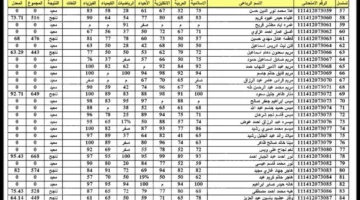 نتائجنا نتائج السادس الاعدادي العراق 2024 دور اول pdf عبر موقع ملازمنا ووزارة التربية العراقية