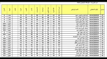 رابط موقع نتائجنا.. الاستعلام عن نتائج السادس الإعدادي في جميع محافظات العراق 2024