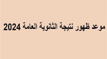 موعد ظهور نتيجة الثانوية العامة 2024.. وأكثر من 50 ألف طالب يحصلون على أكثر من 95%