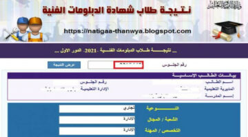 لينك شغال.. نتيجة الدبلومات الفنية 2024 برقم الجلوس جميع المحافظات وخطوات الاستعلام