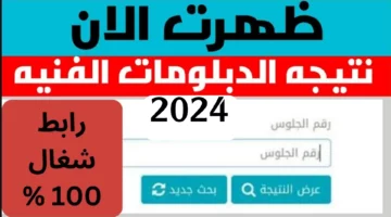 ” ظهرت الأن ” موقع نذاكر نتيجة الدبلومات الفنية 2024 بالرقم القومي مدرسة اون لاين natega fany emis gov eg نتائج الدبلوم جميع الشعب