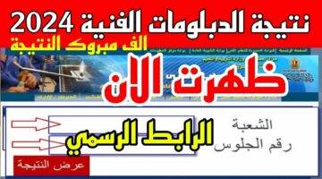 ” ظهرت الأن ✔✔ ” نتيجة الدبلومات الفنية 2024 اليوم السابع برقم الجلوس والاسم fany.emis.gov.eg رابط موقع بوابة نتائج التعليم الفني