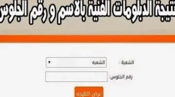 “ظهور” رابط نتيجة دبلوم زراعة 2024 نتيجة الدبلومات الفنية موقع tech.moe.gov.eg