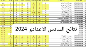 نتيجتك هنا “pdf”.. رابط الاستعلام عن نتائج السادس الاعدادي 2024 بالعراق عبر موقع الوزارة ونتائجنا