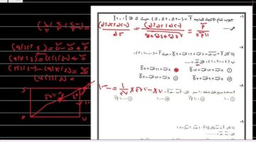 الرياضيات البحتة .. نموذج اجابة امتحان الجبر والهندسة الفراغية للثانوية العامة 2024 من وزارة التربية والتعليم حل امتحان الجبر والهندسة pdf