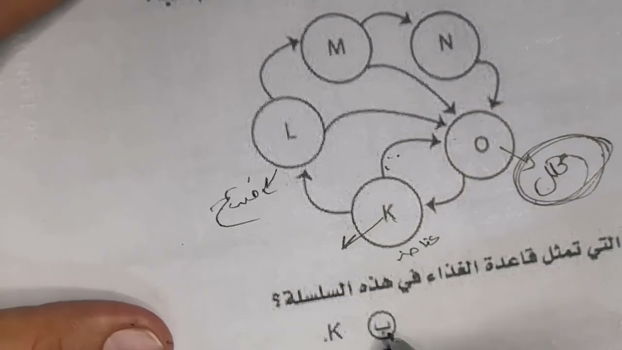 نموذج اجابة امتحان الجيولوجيا للثانوية العامة 2024 واهم الاسئلة المتوقعة حل امتحان الجيولوجيا pdf