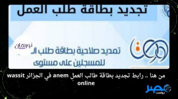 من هنا .. رابط تجديد بطاقة طالب العمل anem في الجزائر wassit online 2024