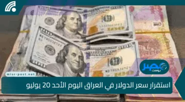 استقرار سعر الدولار في العراق اليوم الأحد 20 يوليو 2025 مقابل الدينار العراقي.. تحركات ثابتة في السوق الموازية