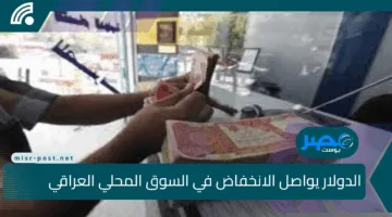 هبوط متواصل.. الدولار يواصل الانخفاض في السوق المحلي العراقي وسط ترقب المستثمرين