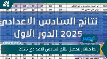 رابط مباشر لتحميل نتائج السادس الاعدادي 2025 الدور الأول لجميع محافظات العراق عبر موقع نتائجنا ووزارة التربية moedu.gov.iq
