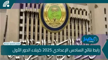 اكتشف الآن.. رابط نتائج السادس الإعدادي 2025 كربلاء الدور الأول PDF عبر موقع نتائجنا مباشرًا وبلا انتظار