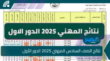 الآن.. صدور نتائج الصف السادس المهني 2025 الدور الأول لجميع الفروع برابط مباشر